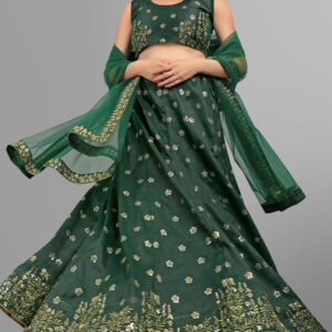 Beautiful Green Phantom Silk Sequence Work Lehenga Choli by - Globaltipsgroup