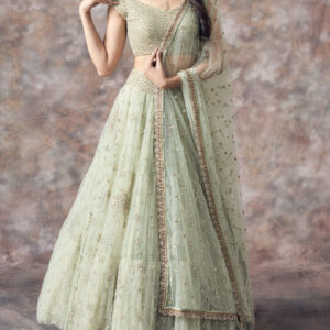 Buy Light Pista Nylon Net Embroidered Lehenga Choli By Globaltipsgroup